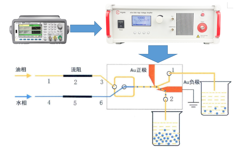 介電泳的液滴分選系統