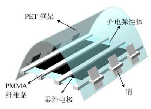 高壓放大器應用介電彈性驅動器模型.png