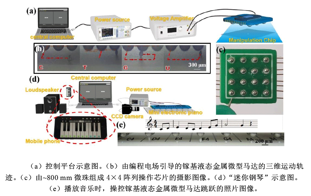 高壓放大器實驗平臺.png