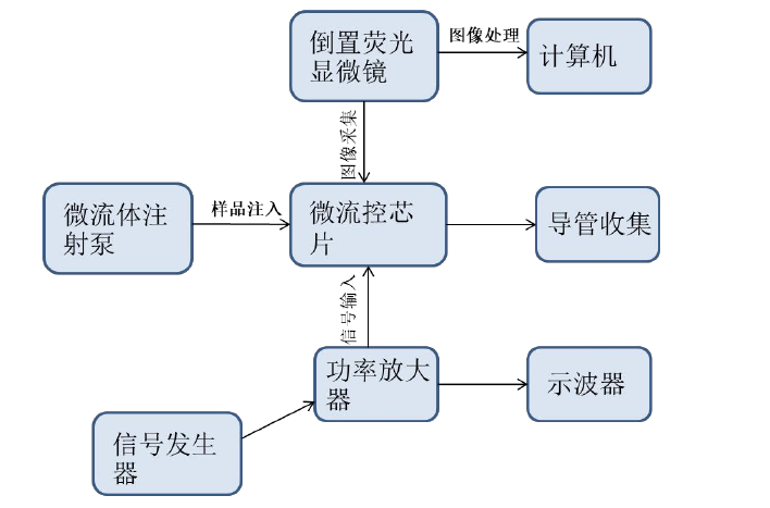 實(shí)驗(yàn)框圖