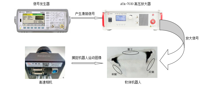 功率放大器在驅動介電彈性體機器人的應用